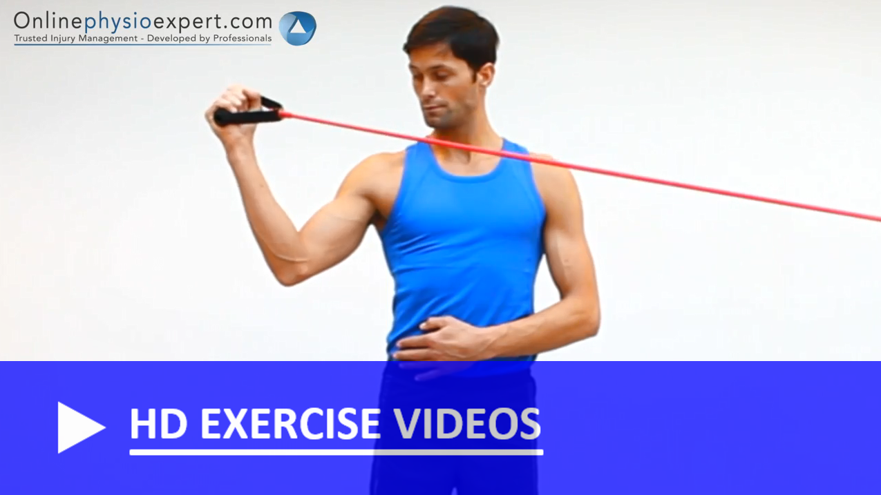 Shoulder Internal Rotation Rotator Cuff Strengthening Ladders